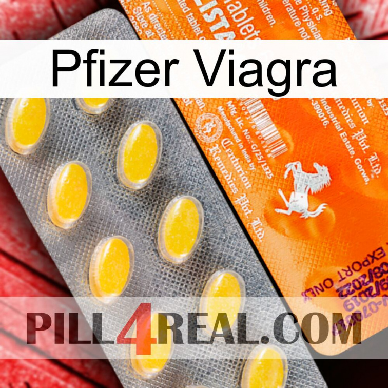 Pfizer Viagra new05